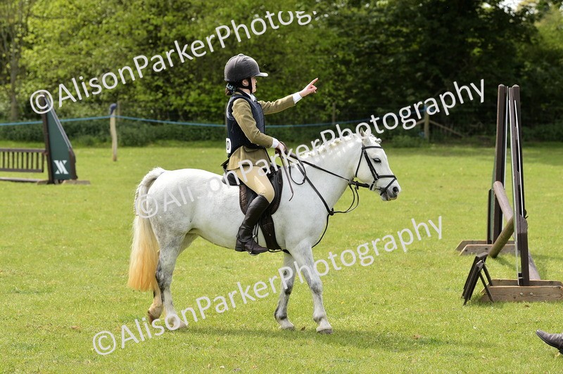 20260426-2407 - Class 21 - Working Hunter Ponies