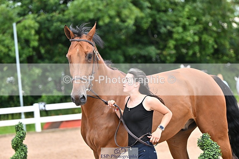 240718A-105322-01902 - Trot Up 2pm to 3pm - This folder is not in time order