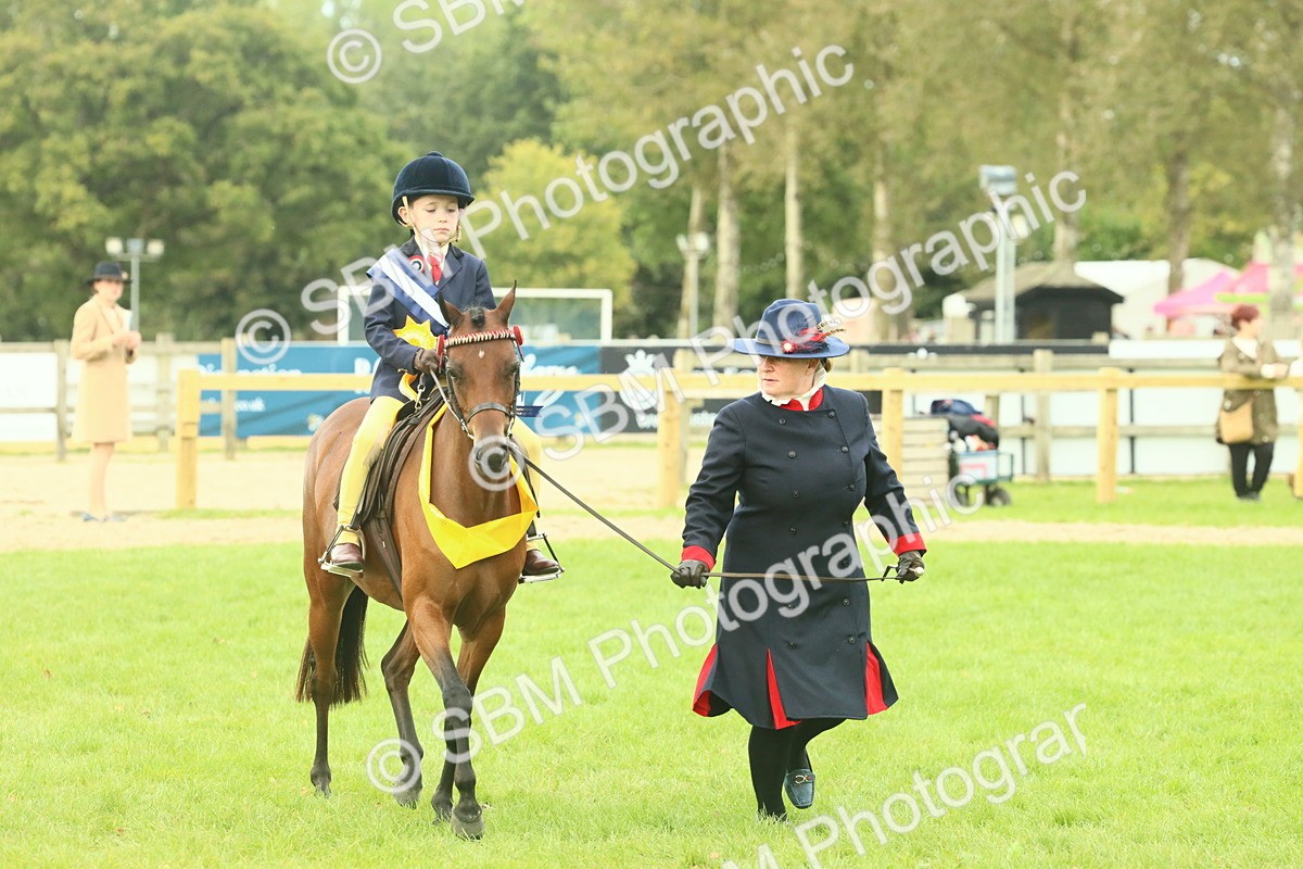 SBM_75225 - Super Supreme Championship