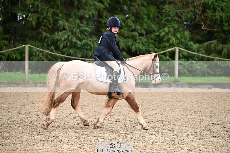 260222A-093250-00142 - 40cm Lead Rein and Assisted