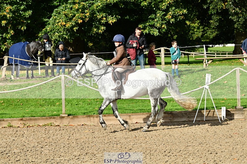 251004A-102244-00429 - Classes 1-2-3 40cm