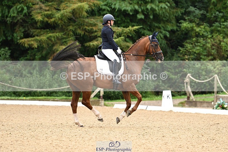 240811-102225-04997 - 110-Helen.Kitto-Da.Vinci.IV