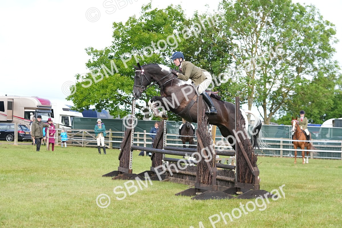 SBM_12874 - Class 99 - RIHS SEIB Working Show Horse