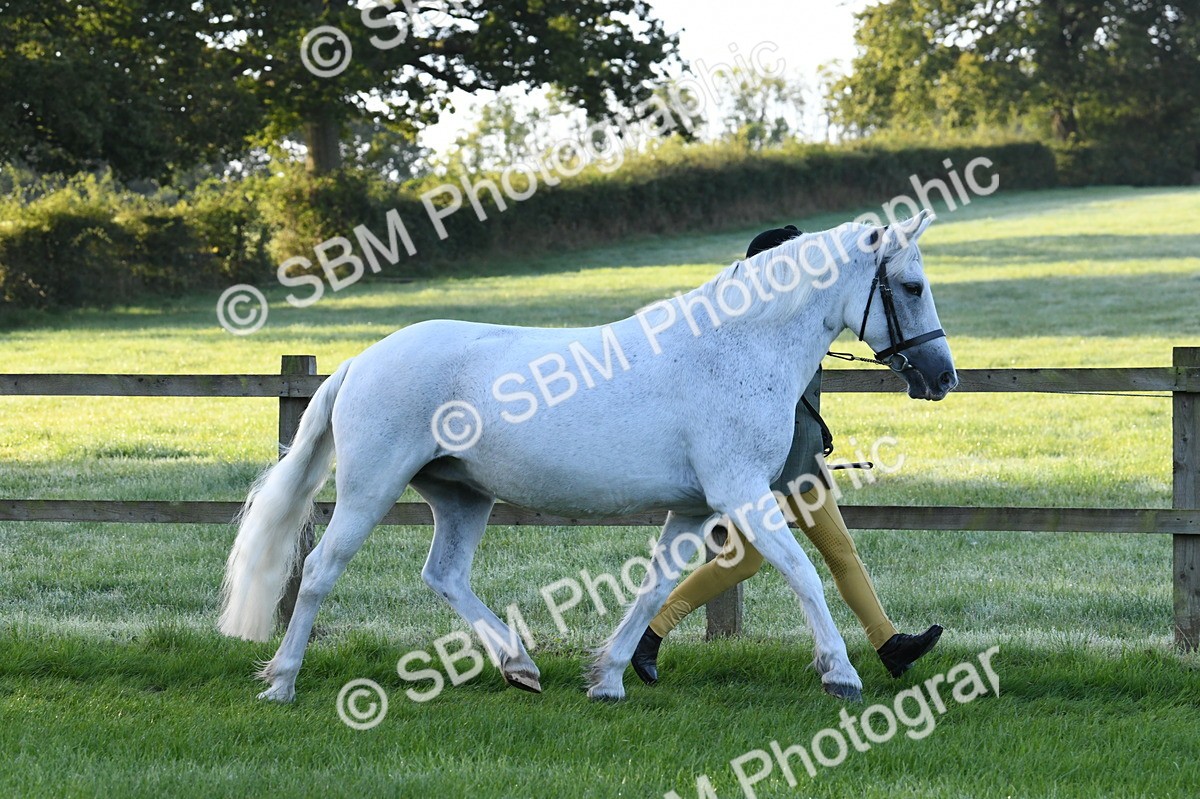 SBM_32597 - S15 - Condition & Turnout In Hand