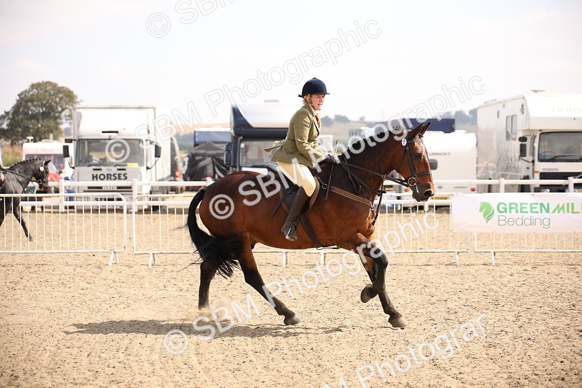 SBM_14349 - Class 407b - Working Veteran 60cm (20+)