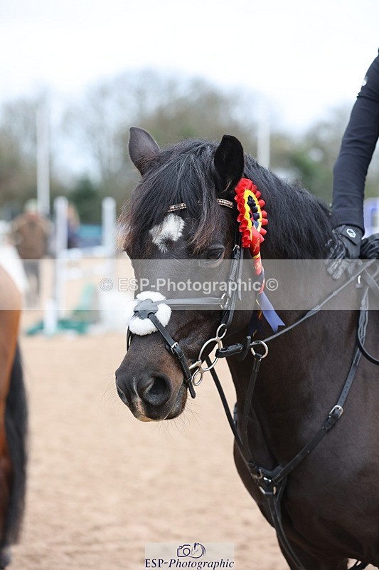241116X-134655-02082 - Cls 13 Pony Saphire Qualifier J-O