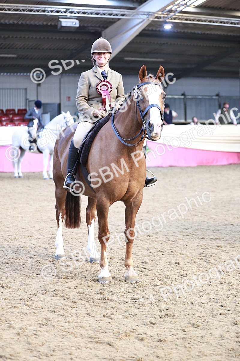 SBM_09132 - Class 12R - Regional Ridden Pre-Vet