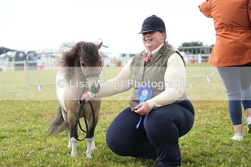 DSC04649 - Class 46: NPS Shetland Youngstock