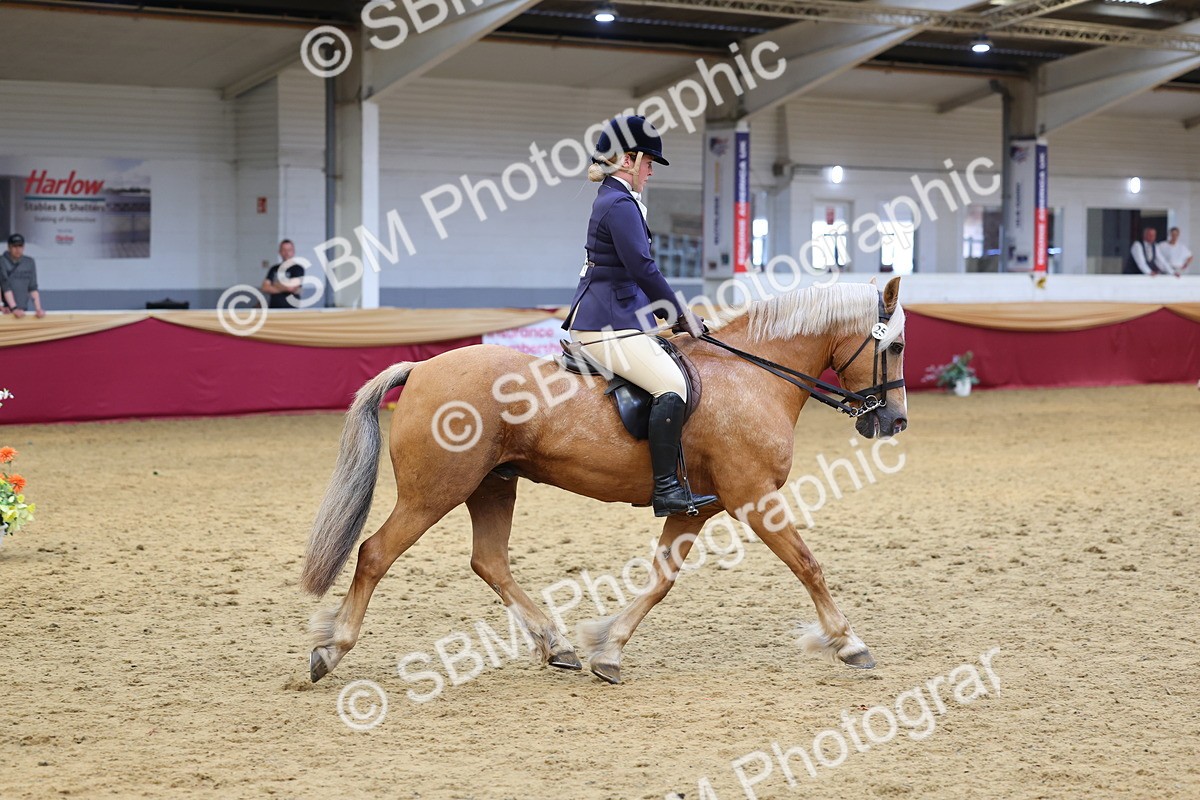 SBM_23554 - Class 904 - Supreme Final Ridden Diamond