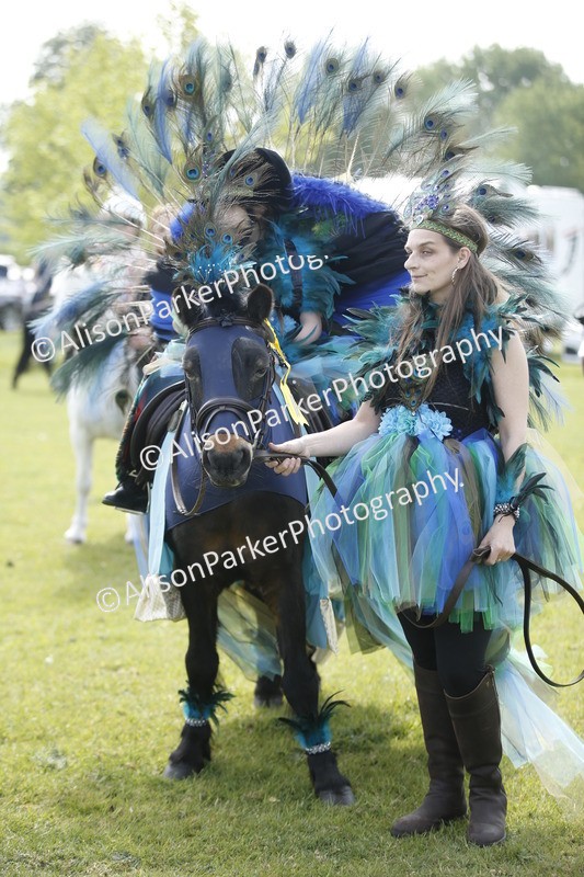 20260426-1399 - Class 6 - Fancy Dress
