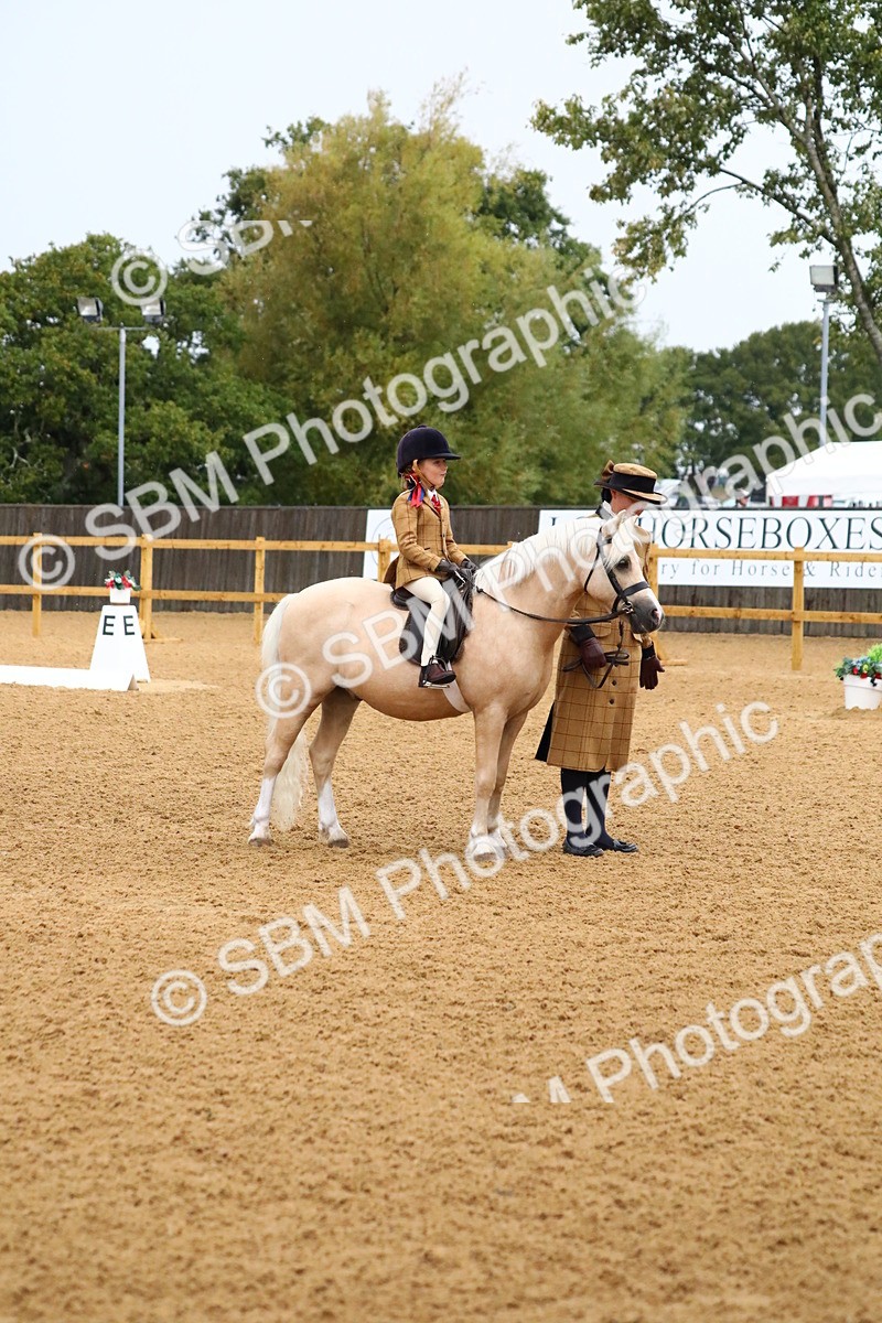 SBM_34577 - D26 - Starters Lead Rein