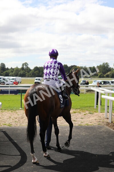 yr17082022r2-5 - Race 2 2.25pm Tattersalls Acomb Stakes