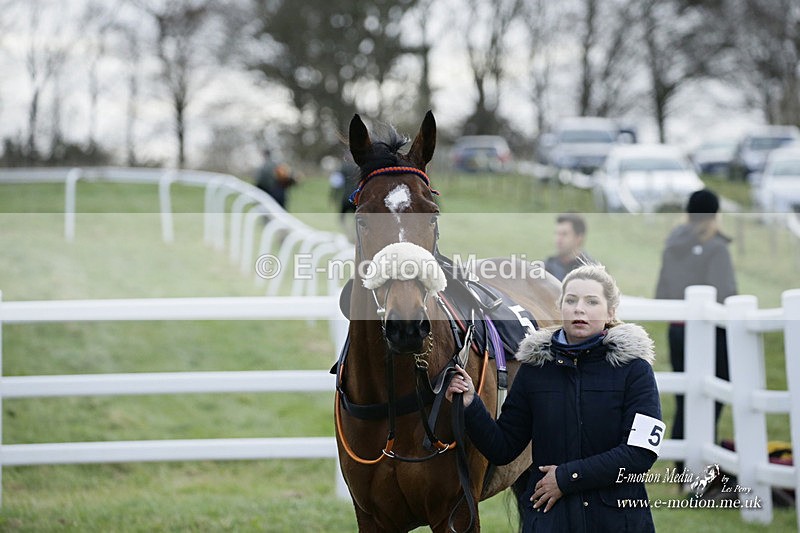 PtP 281121 0462 - Hursley Hambledon Point-to-Point Larkhill 28/11/21