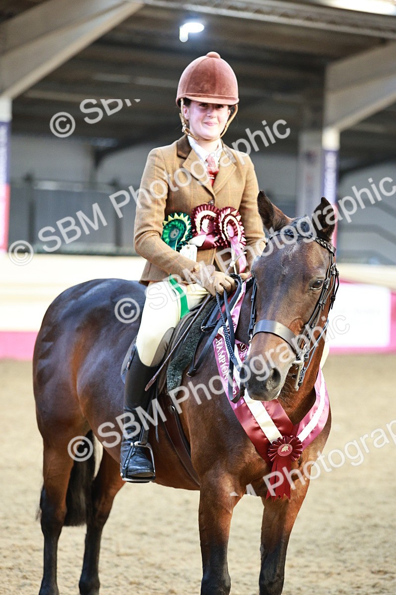 SBM_08701 - Regional Ridden Champ