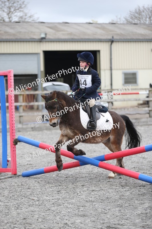 20260412-0559 - Show Jumping