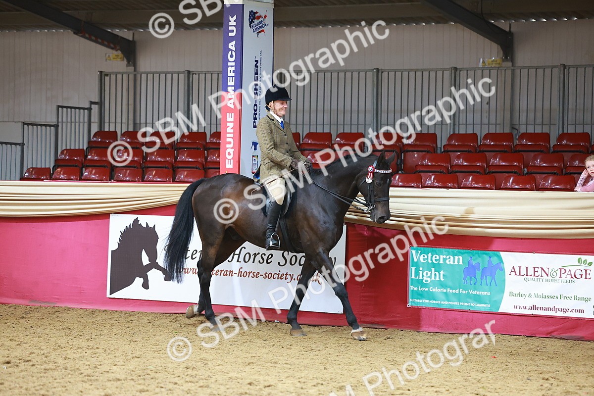 SBM_09564 - Class 102 - HOYS Veteran Qualifier - Ridden Veteran
