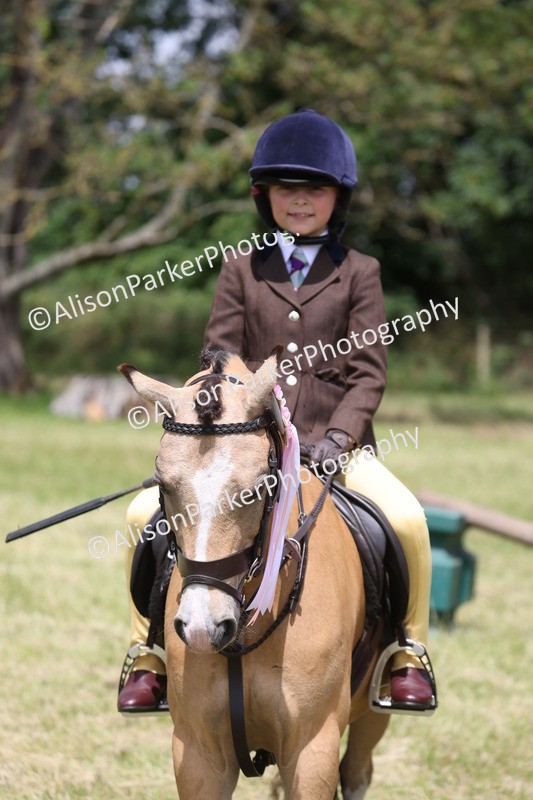 20260614-2157 - Class 21 - Novice Working Hunter Pony