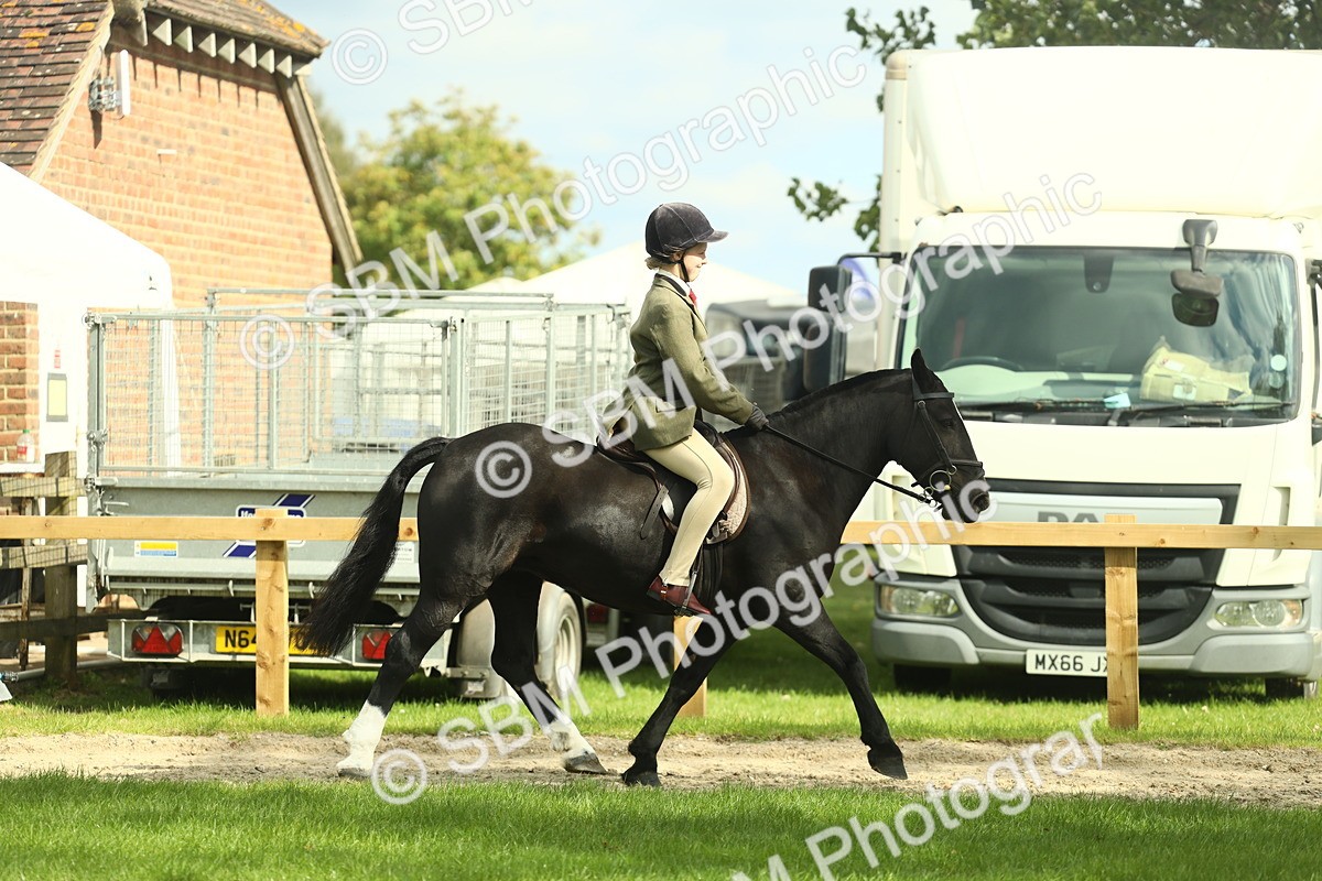 SBM_44907 - Working Hunter Pony Supreme Championship