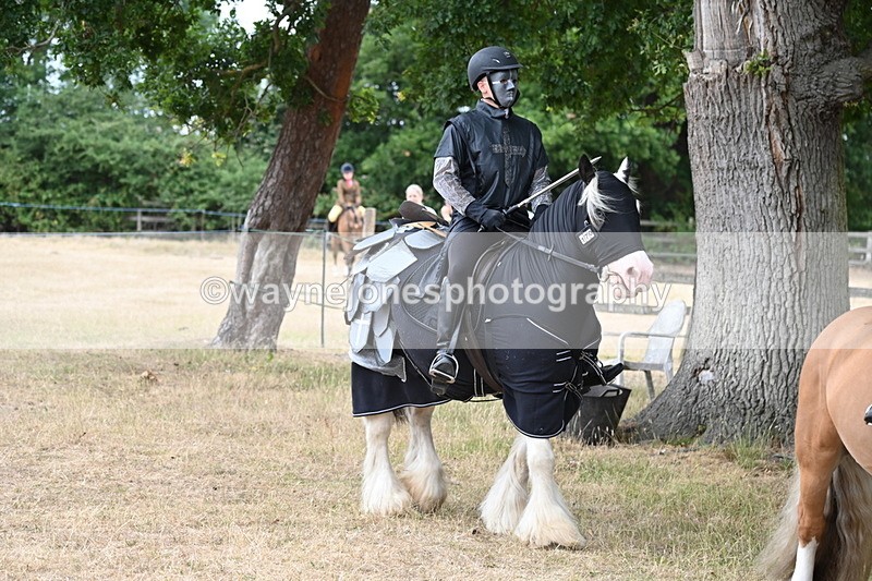 WJ6_8901 - Class 11 Fancy Dress