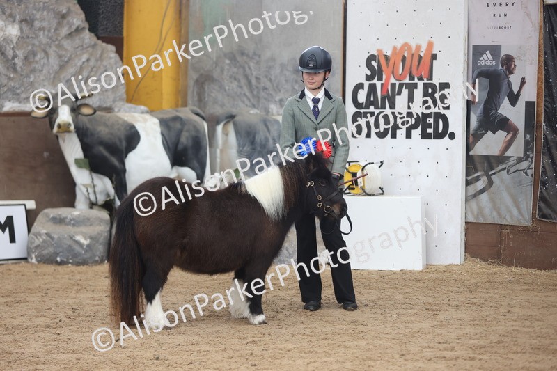 20251109-0429 - Championship