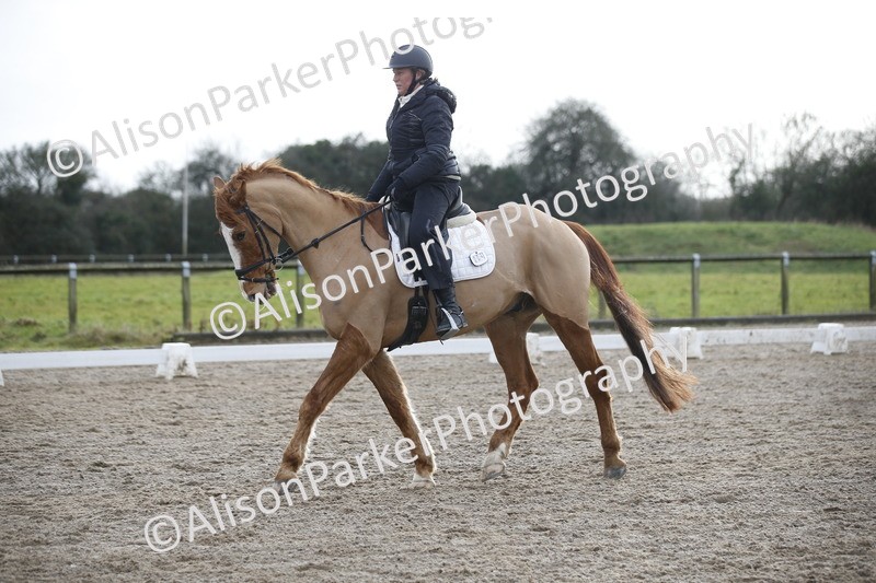 20260127-0344 - Class 16 - BD Novice 2