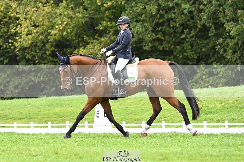 261022A-152013-07575 - D-314-Evangeline.Llewellyn-Smith