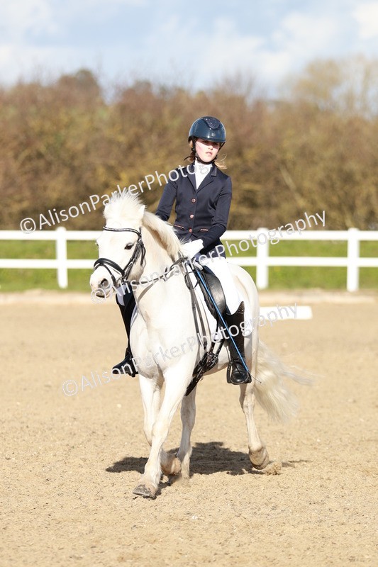 20260314-4526 - DR4 - Prelim 2