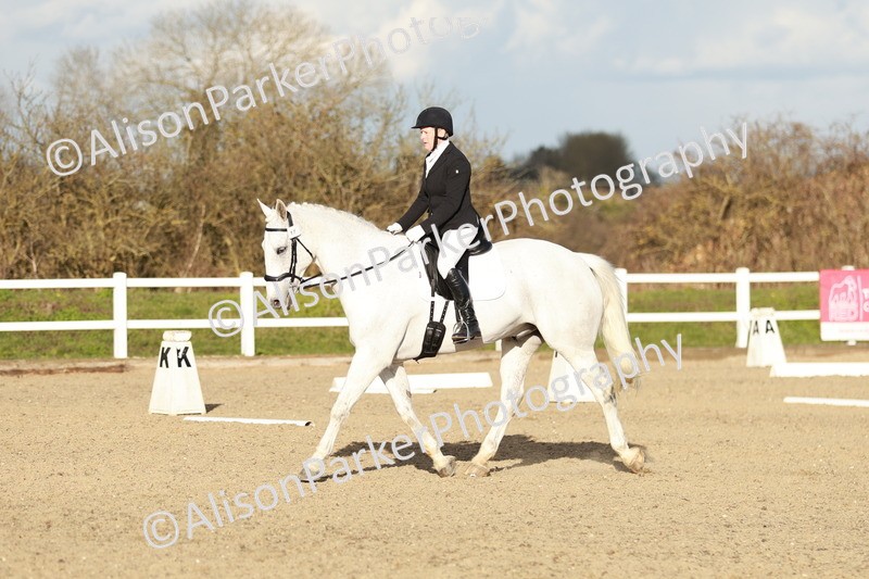 20260314-6260 - CT7 - Elementary 2