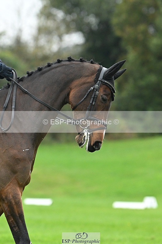 241024-140810-04405 - 413-Sophie.Westmore-CALCOURT.LEONARDO