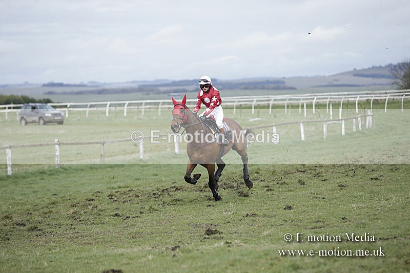 PtP 150320 0661 - New Forest Point-to-Point Larkhill 15/03/20