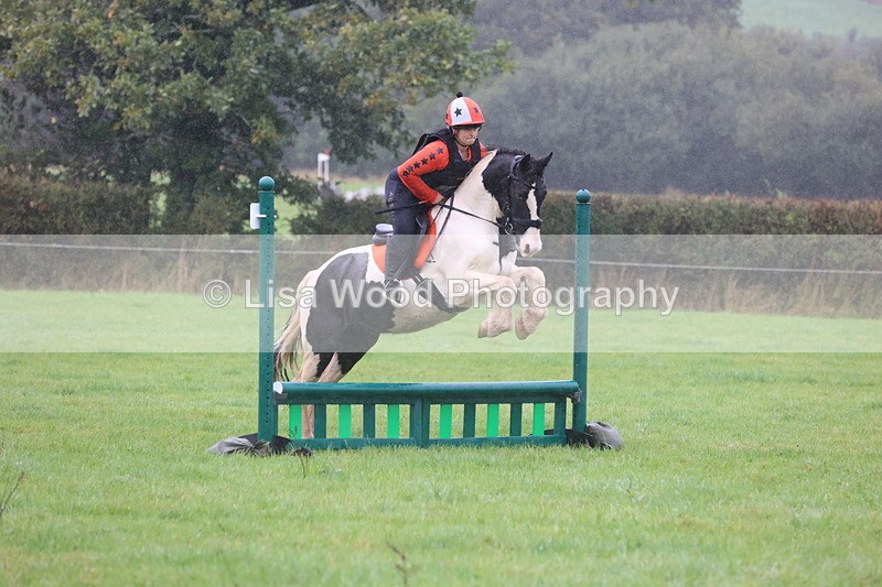 JPP_5132 - Class 1: 65cm : Showjumping