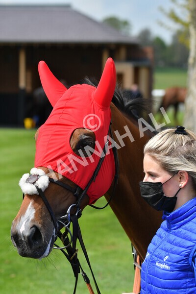 yr12052021r2-16 - Race 2 2.10pm Churchill Tyres Stakes