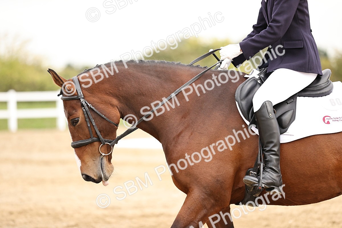 SBM_002653 - Prelim 1