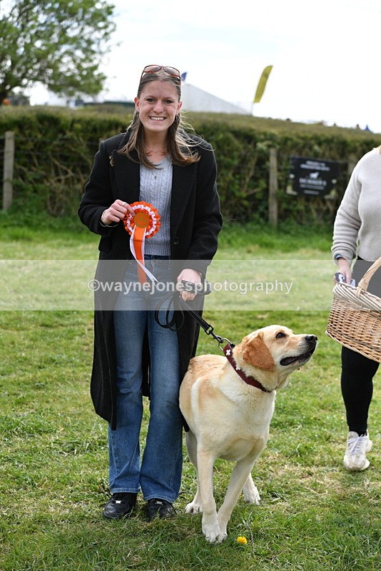 WJ5_9894 - Class 3 Most Handsome Dog