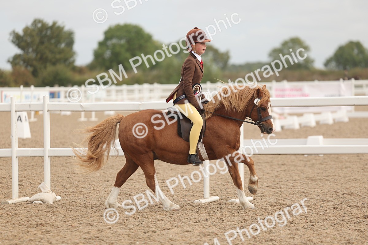 SBM_02049 - Class 14 - Ridden M&M Wildcard