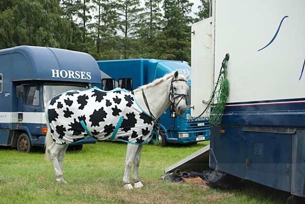 23 - Moniaive Horse Show 2010