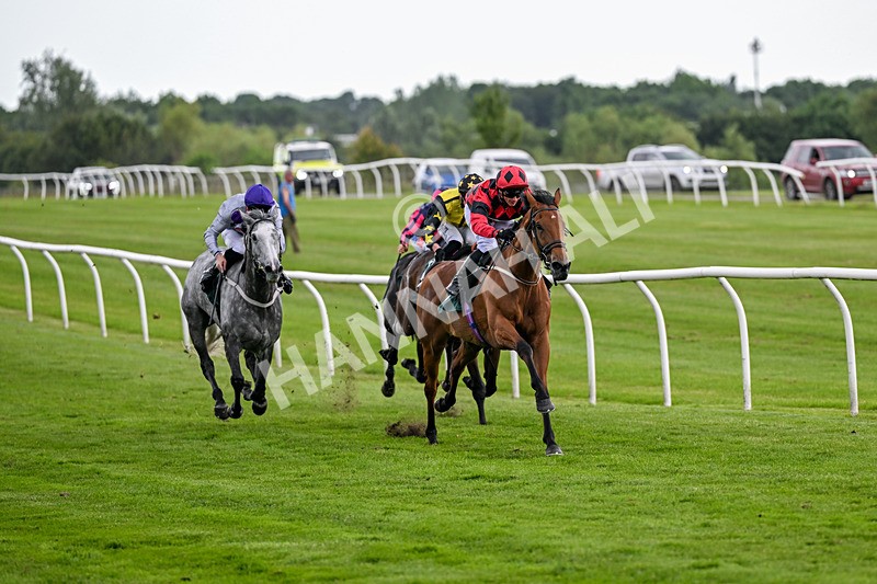 220626-Race 5-Treasure Islands-9361 - Race 5 16.35pm Start Your Racing TV Free Trial Handicap