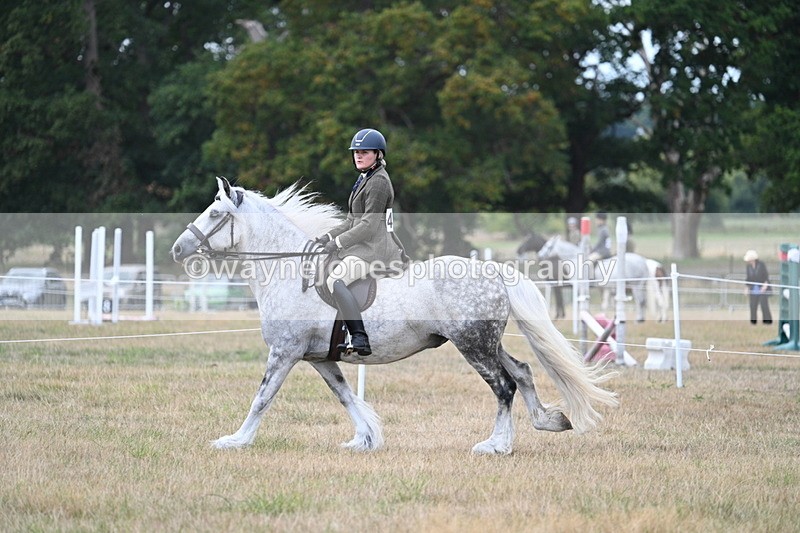 WJ7_5030 - Class 12 Ridden Cob