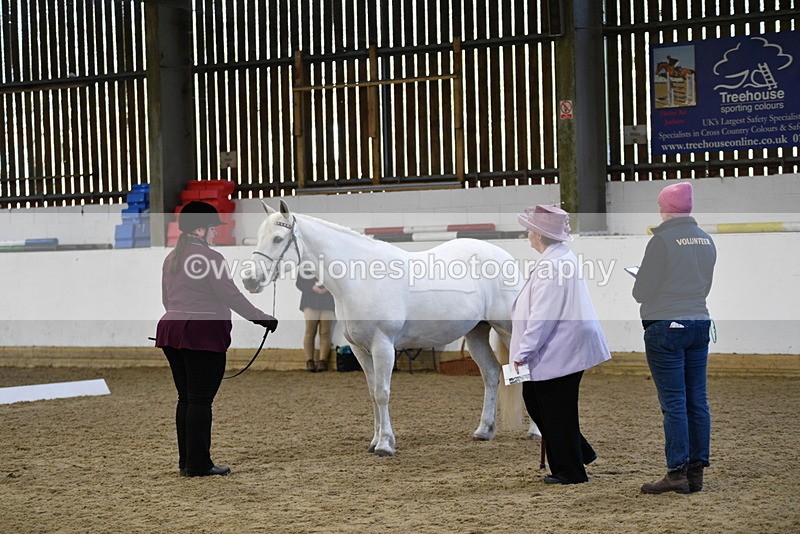 WJ5_3687 - Class 5 In Hand Veterans