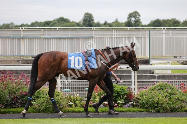 yr23072021r5-2 - Race 5 8.00pm Gallop Racing Stakes