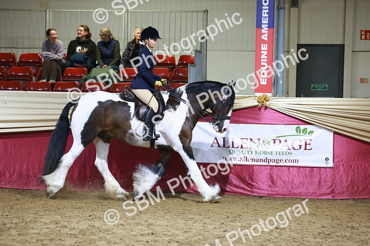 SBM_21551 - Class V - Champion of Champions