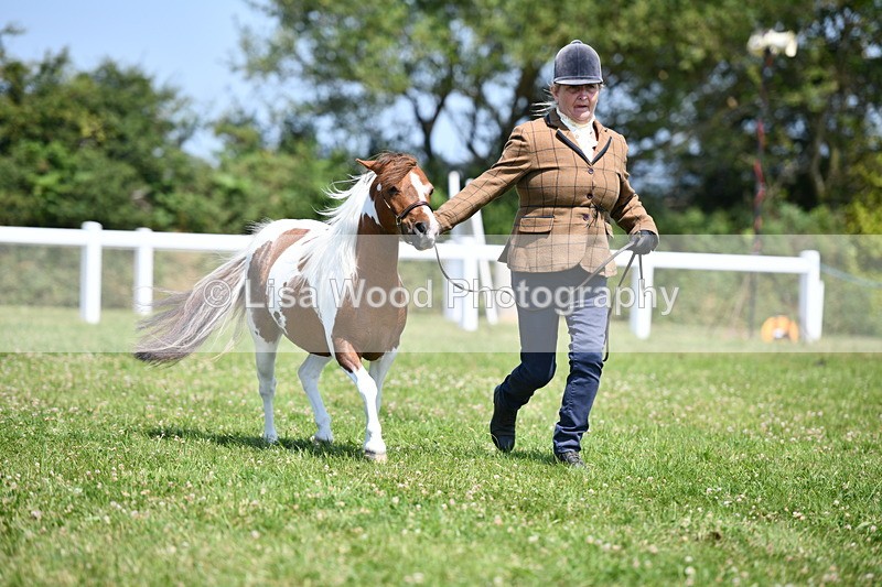 DSC_7697 - Class 64: Coloured Pony 4yrs & over