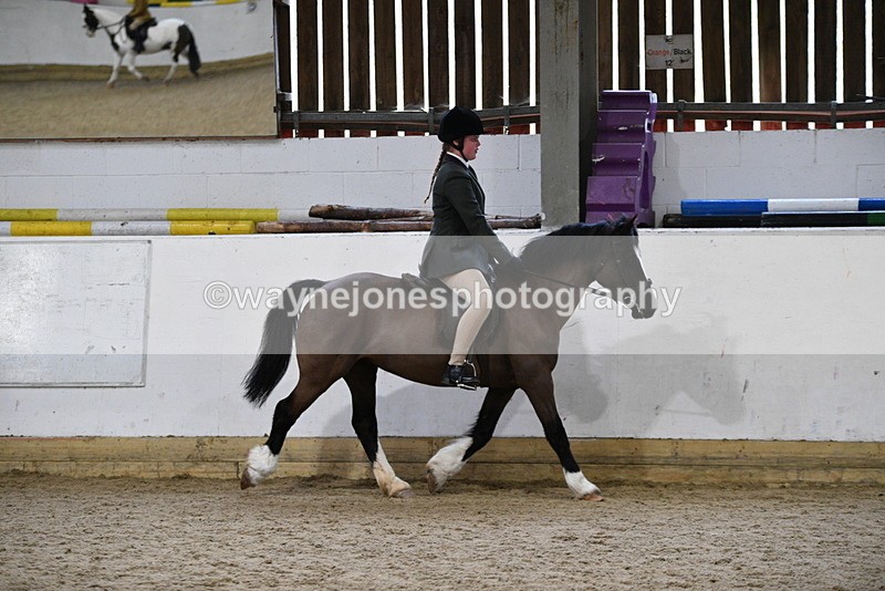 WJ5_7152 - Class 11 Ridden PC - RC Pony
