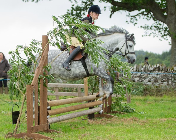 Dunblane show-269 - Dunblane and Doune Show Ring 1