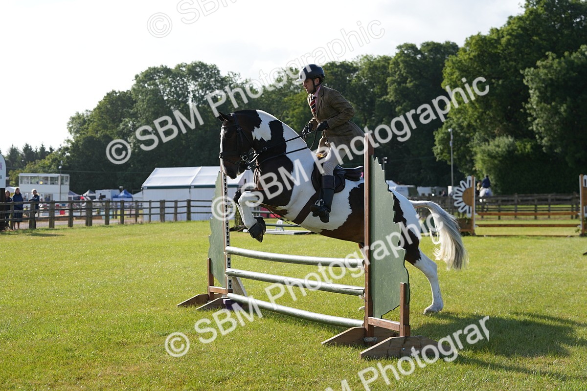 SBM_10527 - Class 97-98 - LIHS BSHA Rising Star Working Show Horse Hunter