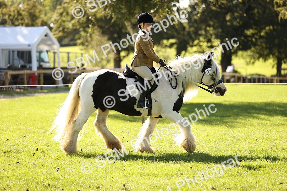 SBM_19114 - S3 - TSR Ridden Pony Showing
