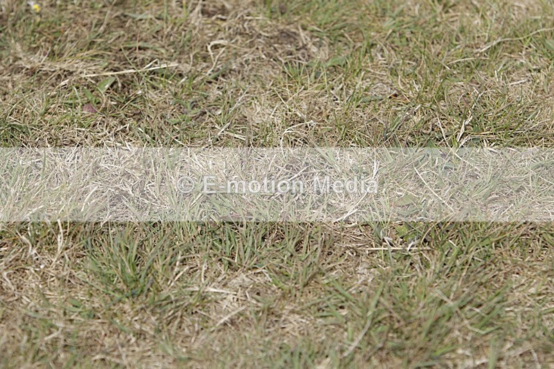 BVHT 140517 I-556 - Class 1 SJ Intermediate 14/05/17