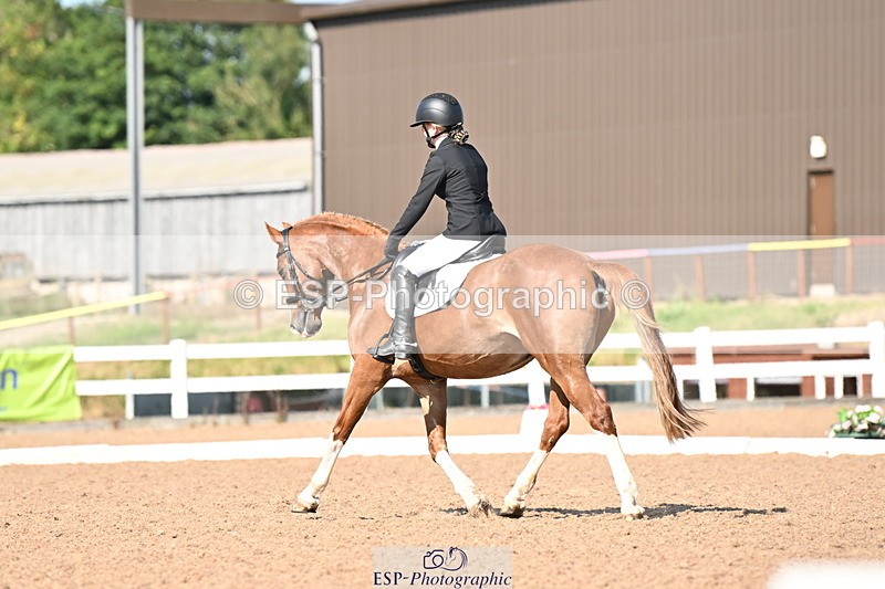 240816A-160819-06084 - 134-Mia.Marshall-Vino