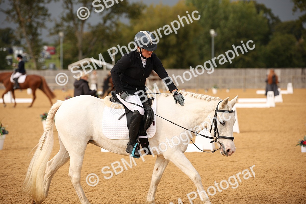 SBM_12317 - D3 Small  Tour Championship Intro A