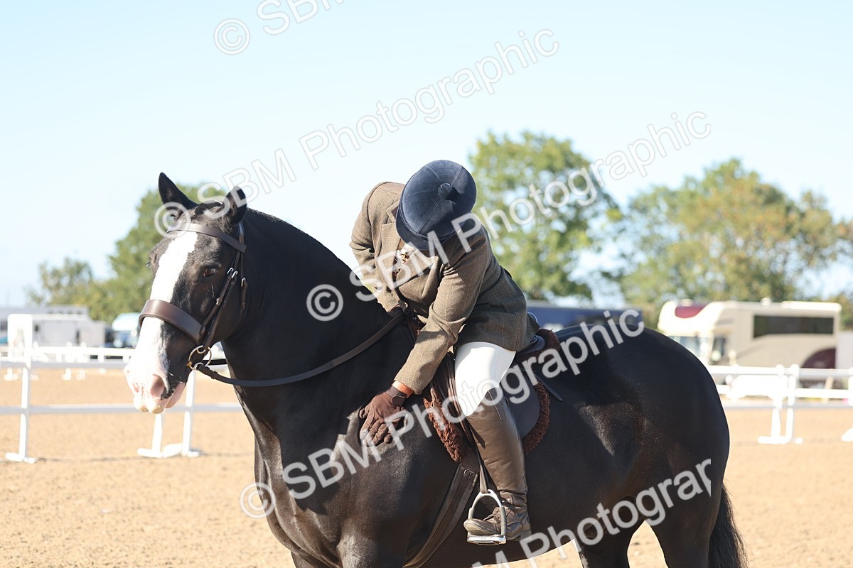 SBM_22227 - Class 802 - Ridden Groom Helpers Class